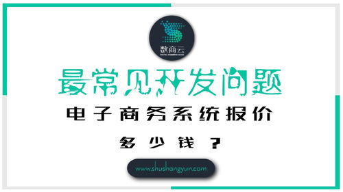 最常見開發(fā)問題 電子商務系統(tǒng)報價多少錢